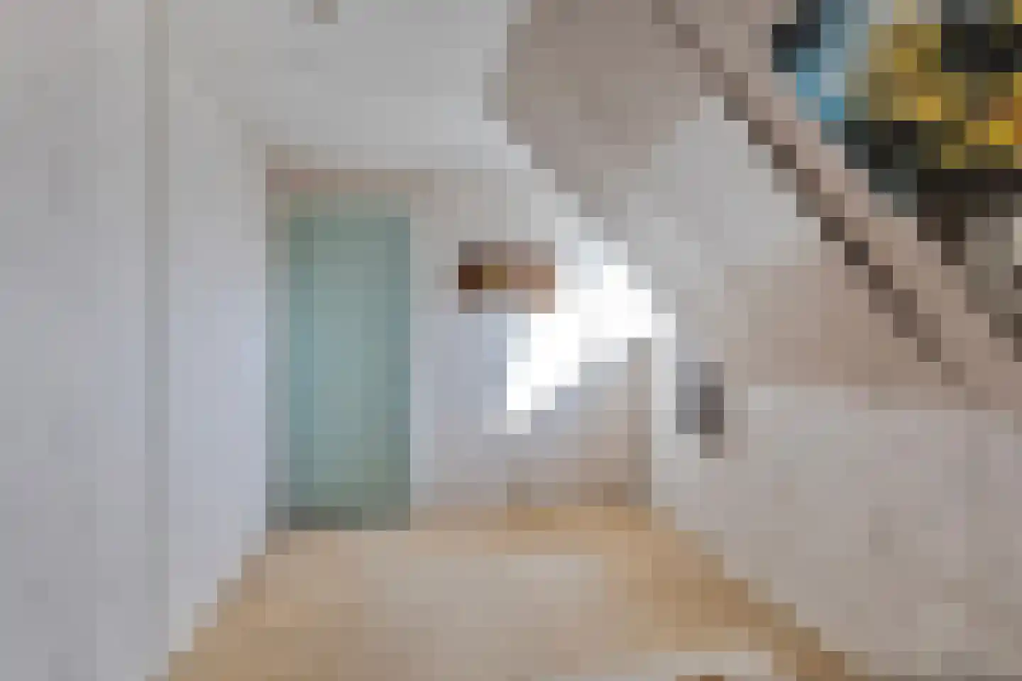 Hagenadyk 33 Oudega thumbnail 23