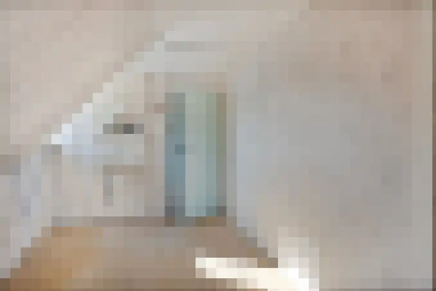 Hagenadyk 33 Oudega thumbnail 29