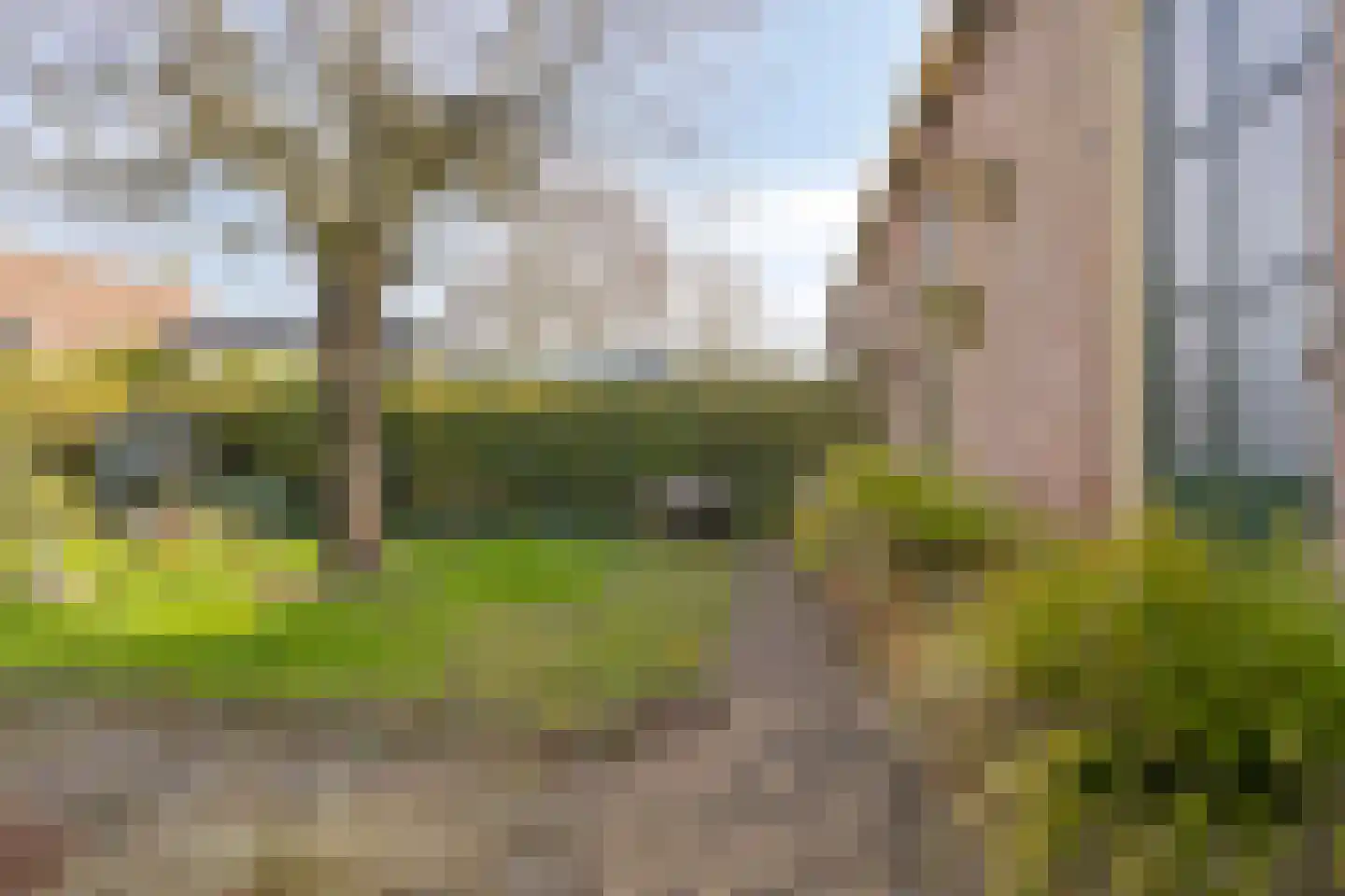 Hagenadyk 47 Oudega thumbnail 33