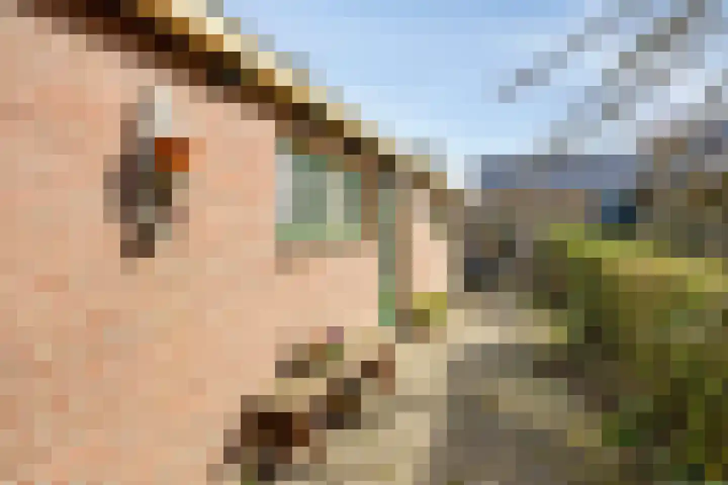 Hagenadyk 47 Oudega thumbnail 41