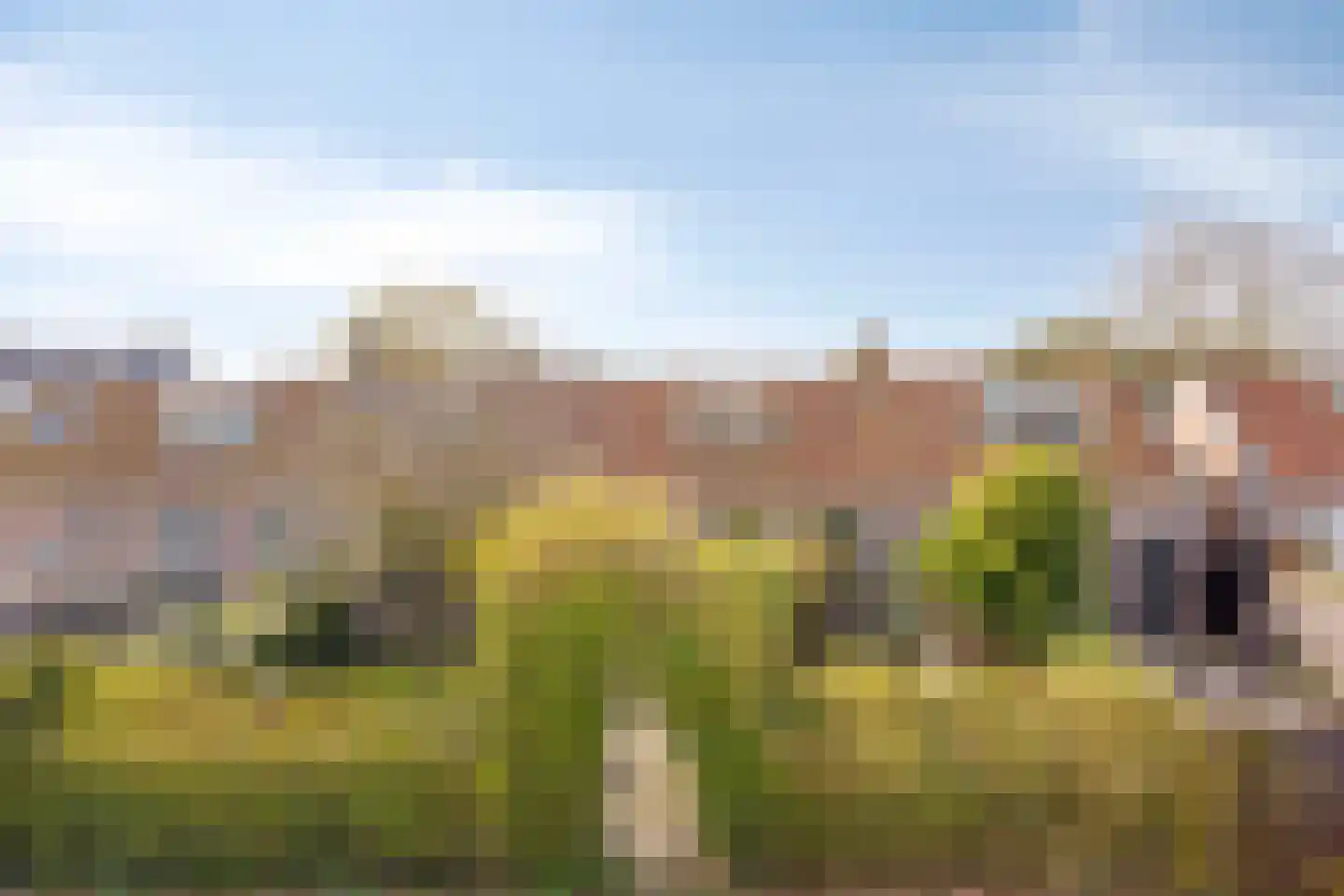 Hagenadyk 47 Oudega thumbnail 42