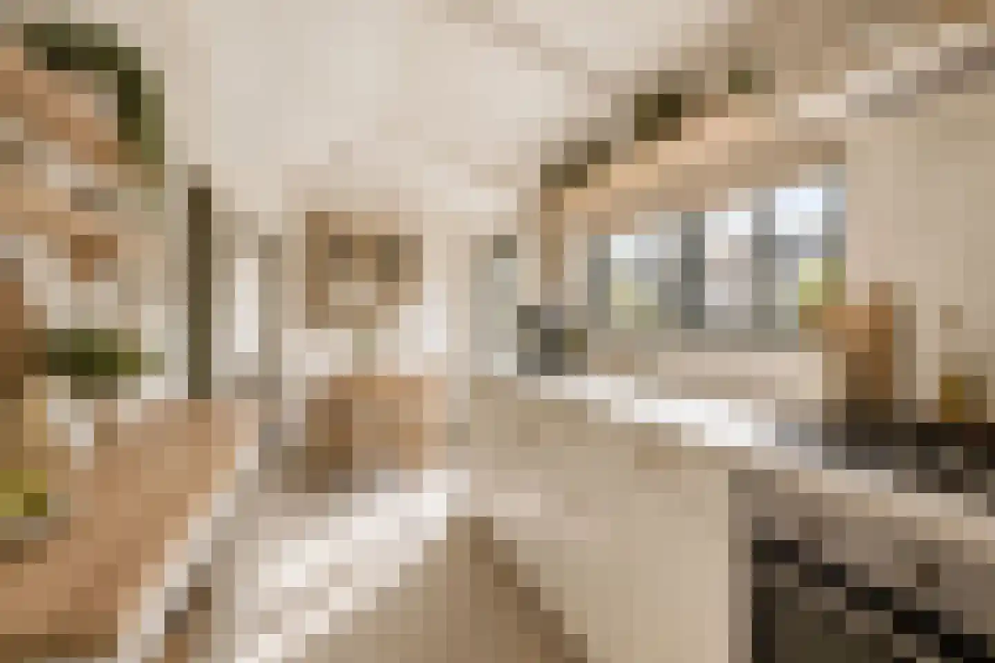 Hagenadyk 47 Oudega thumbnail 5