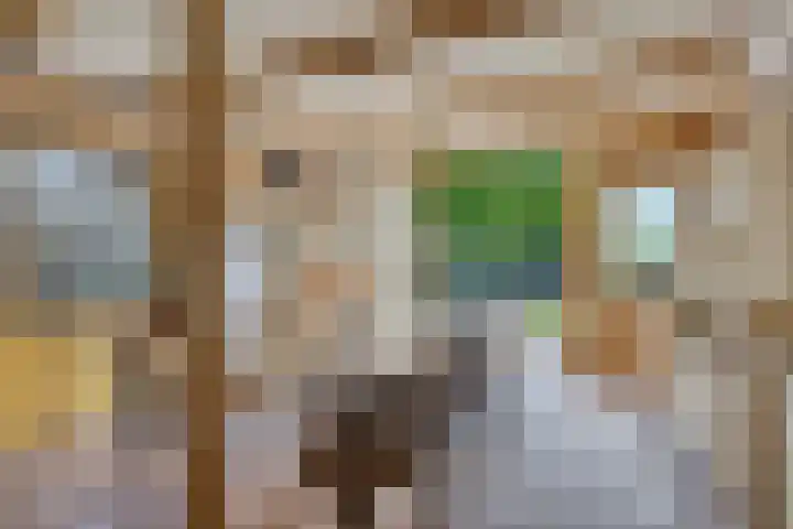 Hagenadyk 7 Oudega thumbnail 21
