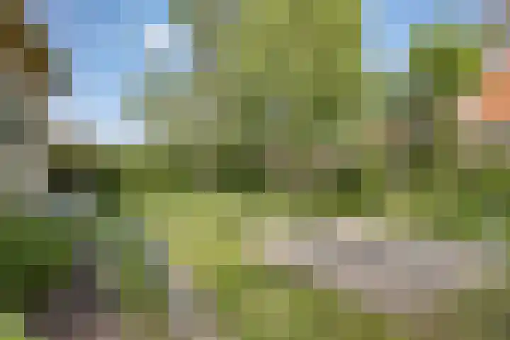 Hagenadyk 7 Oudega thumbnail 23