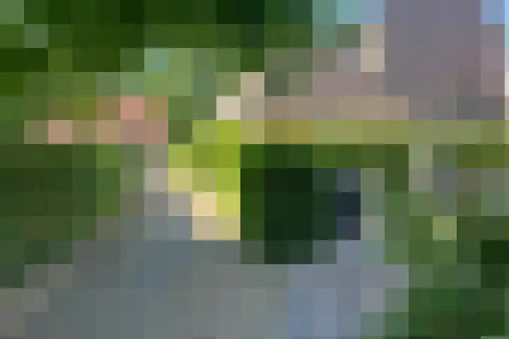 Hagenadyk 7 Oudega thumbnail 24