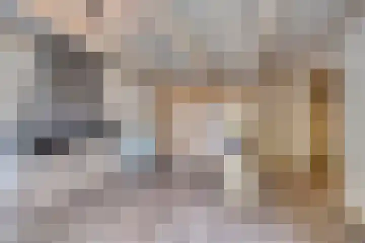 Hagenadyk 7 Oudega thumbnail 4