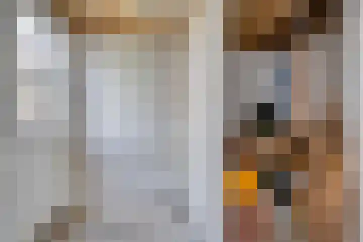Hagenadyk 7 Oudega thumbnail 9