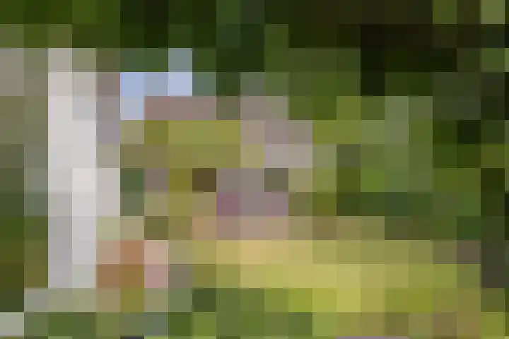 Hagenakkers 25 Echten thumbnail 18