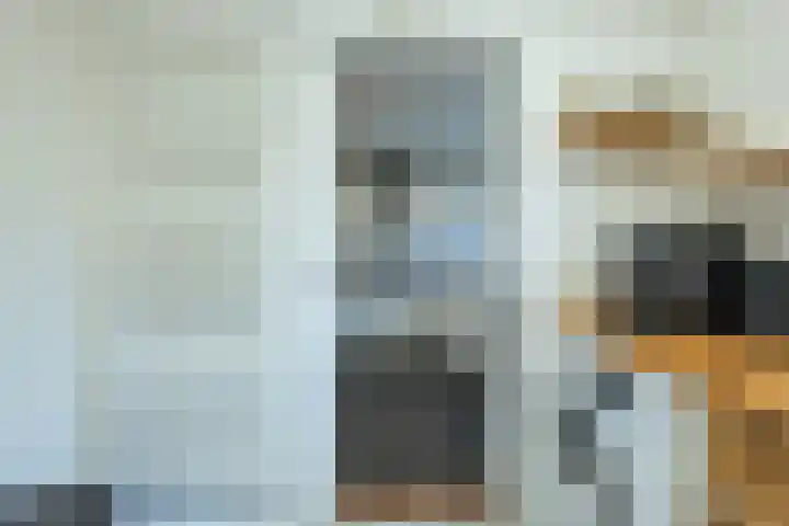 Hagenakkers 25 Echten thumbnail 19