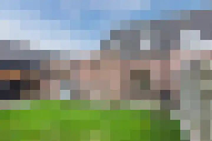 Hagenakkers 25 Echten thumbnail 37