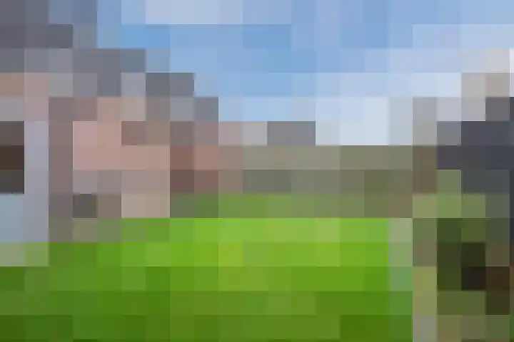 Hagenakkers 25 Echten thumbnail 39