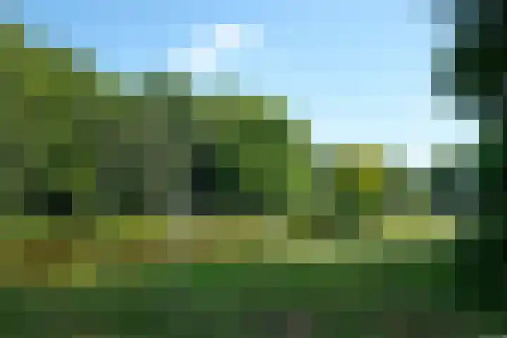 Hagenborgh 11 Almelo thumbnail 14