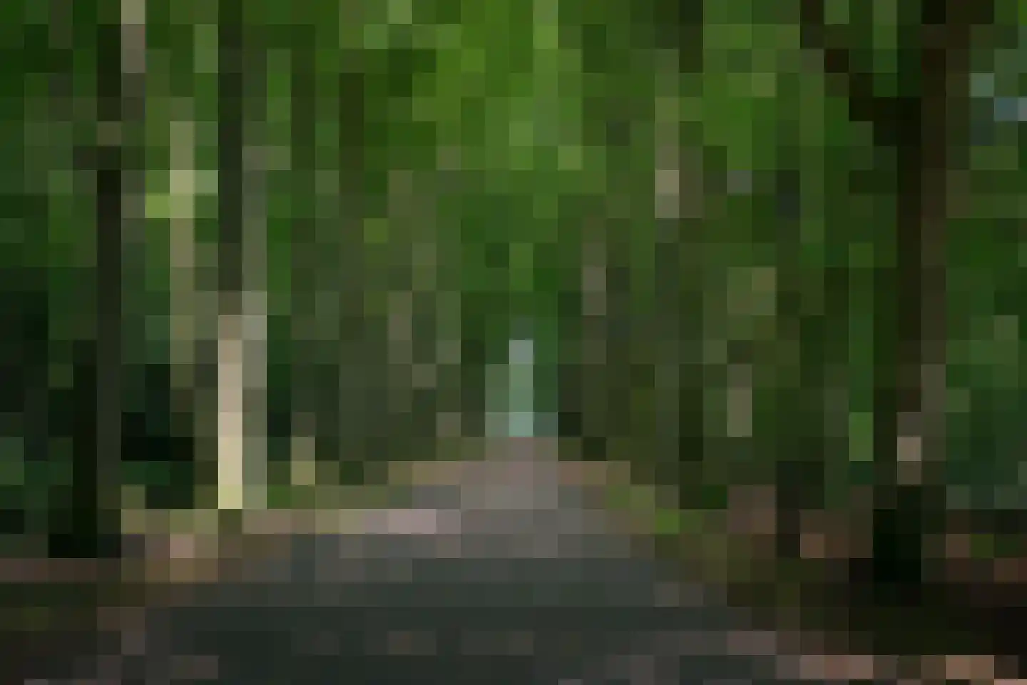 Hagenborgh 117 Almelo thumbnail 12