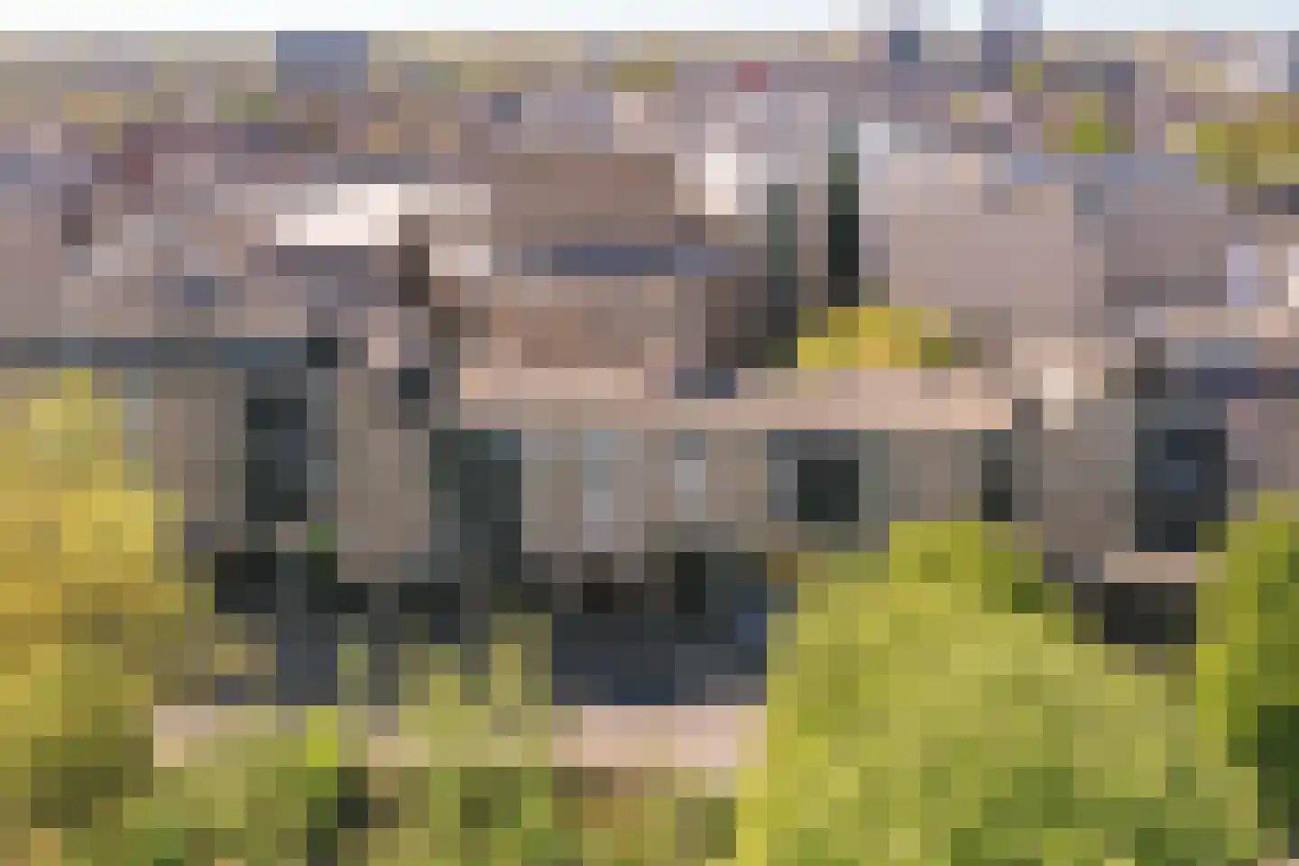 Hagenborgh 127 Almelo thumbnail 20