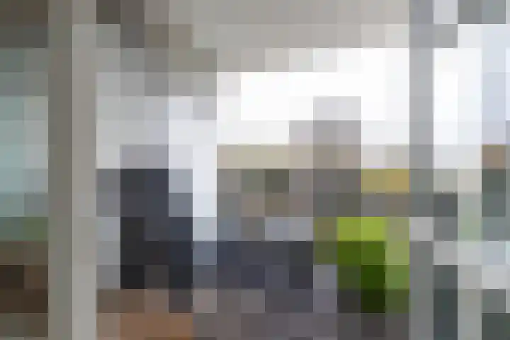Hagenborgh 135 Almelo thumbnail 21