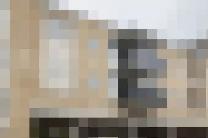 Hagenborgh 135 Almelo thumbnail 22