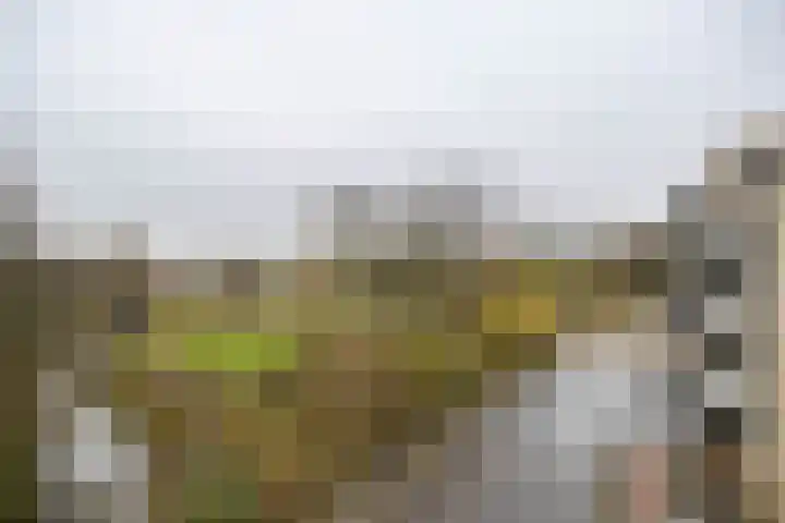 Hagenborgh 135 Almelo thumbnail 23