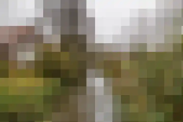 Hagenborgh 135 Almelo thumbnail 27