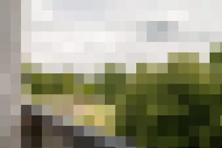 Hagenborgh 201 Almelo thumbnail 20