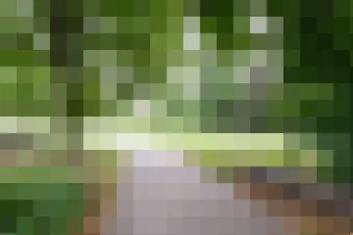 Hagenborgh 201 Almelo thumbnail 28