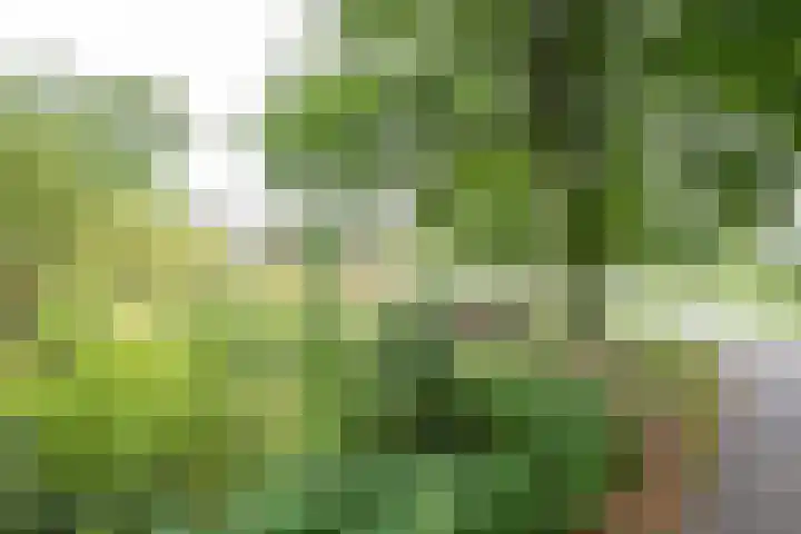 Hagenborgh 201 Almelo thumbnail 29