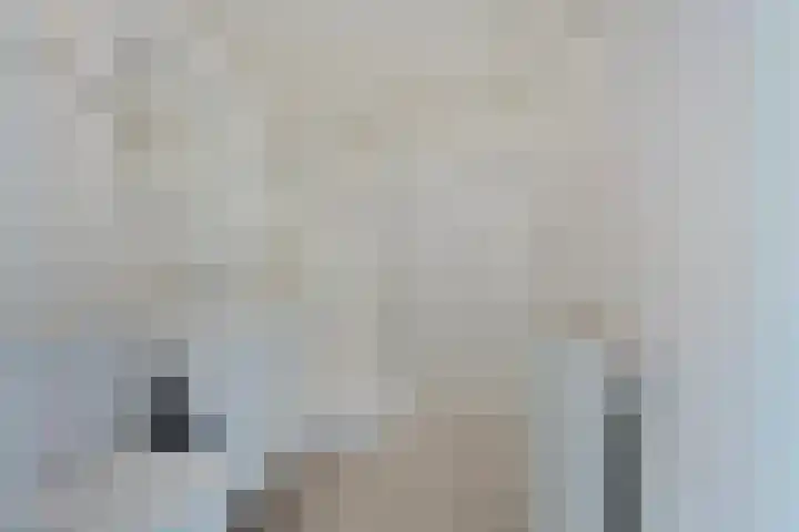 Hagenborgh 209 Almelo thumbnail 13