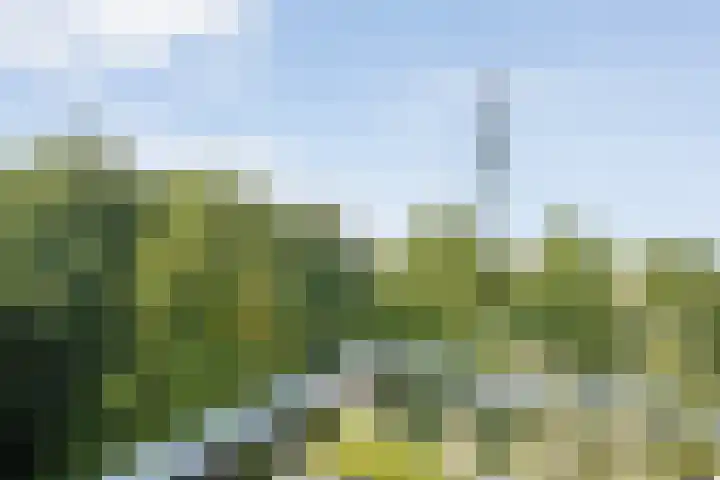Hagenborgh 209 Almelo thumbnail 17