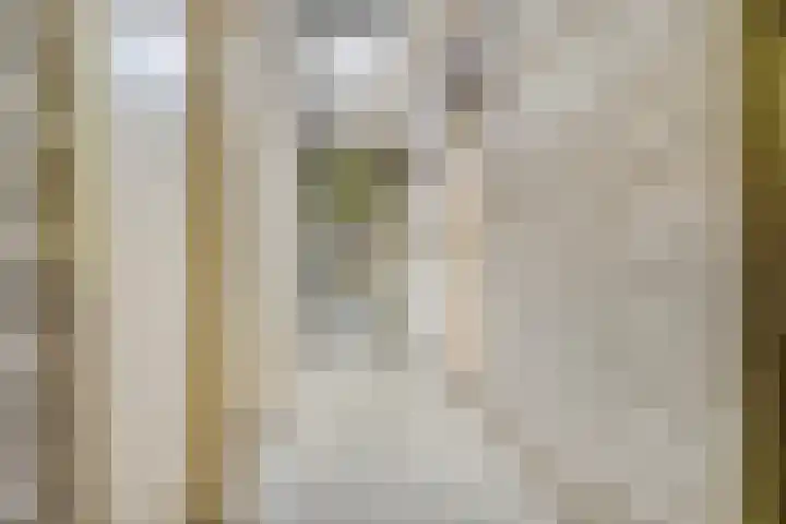 Hagenborgh 209 Almelo thumbnail 18
