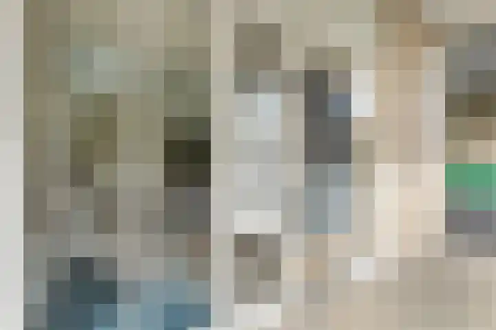 Hagenborgh 209 Almelo thumbnail 20