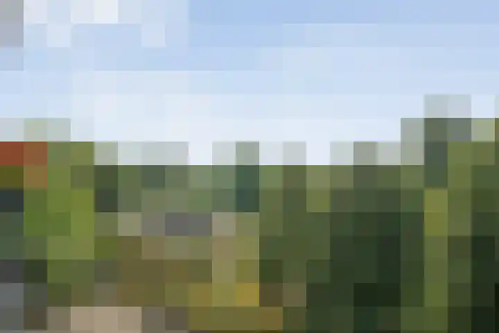 Hagenborgh 209 Almelo thumbnail 25