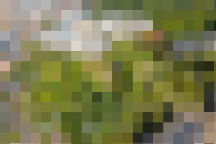 Hagenborgh 209 Almelo thumbnail 26