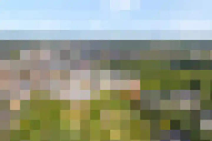 Hagenborgh 209 Almelo thumbnail 27