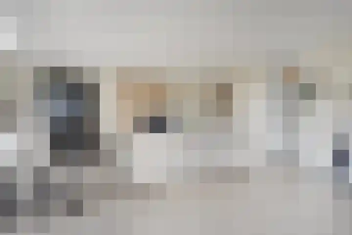 Hagenborgh 209 Almelo thumbnail 4