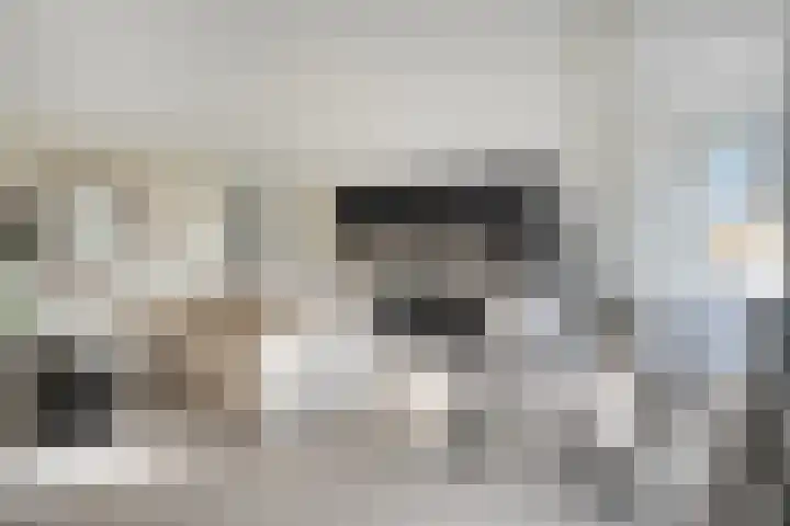 Hagenborgh 209 Almelo thumbnail 6
