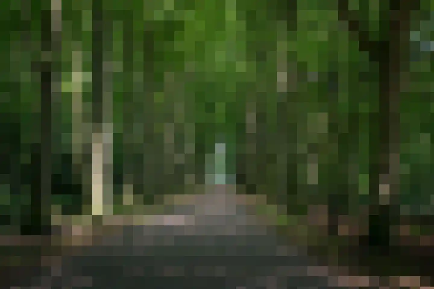 Hagenborgh 255 Almelo thumbnail 25