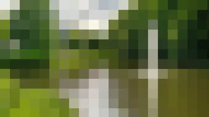 Hagenborgh 69 Almelo thumbnail 26