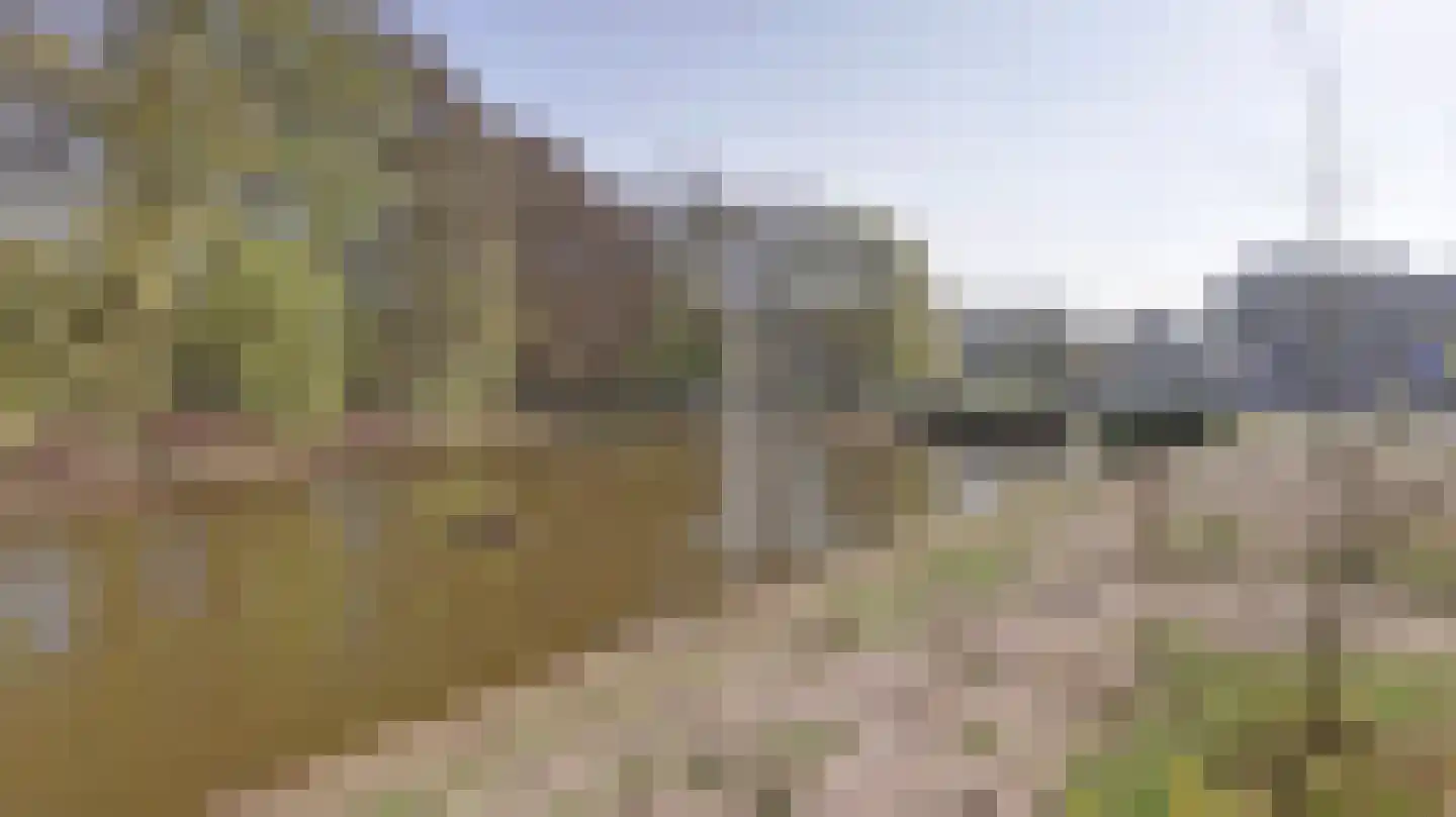 Hagenborgh 91 Almelo thumbnail 27