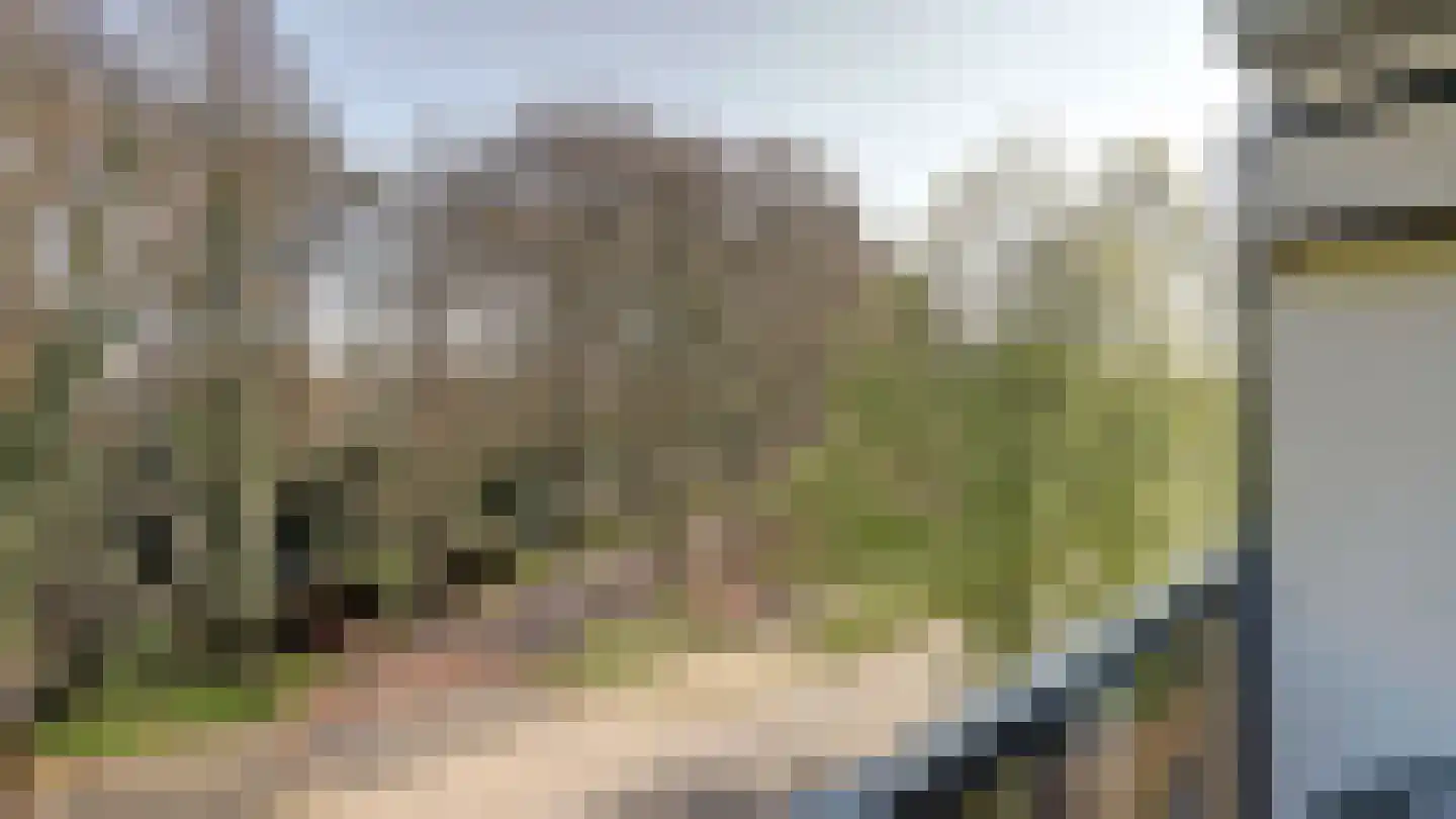 Hagenborgh 91 Almelo thumbnail 9