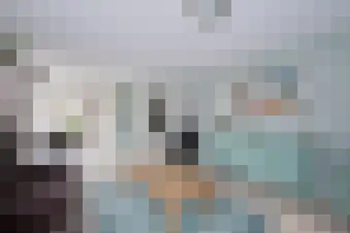 Hagenbosch 14 Dinxperlo thumbnail 15
