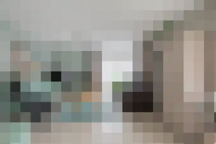 Hagenbosch 14 Dinxperlo thumbnail 16
