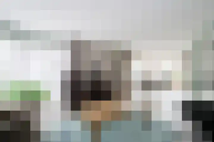 Hagenbosch 14 Dinxperlo thumbnail 17