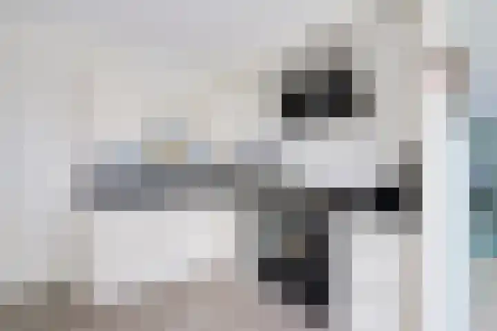 Hagenbosch 14 Dinxperlo thumbnail 20