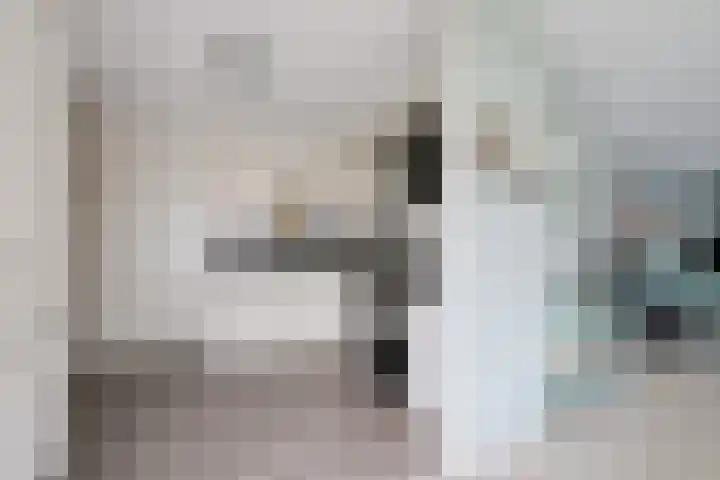 Hagenbosch 14 Dinxperlo thumbnail 4