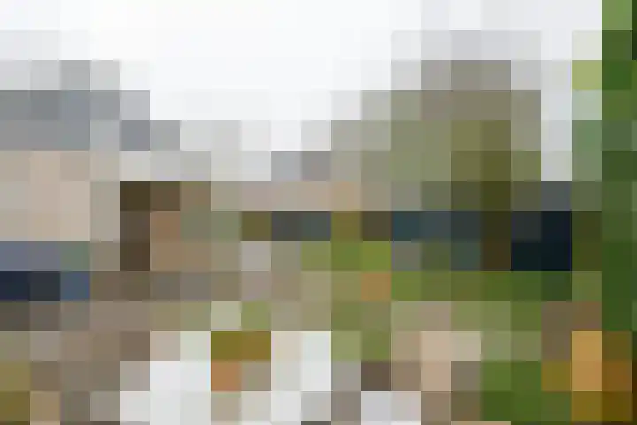 Hagenbosch 14 Dinxperlo thumbnail 43