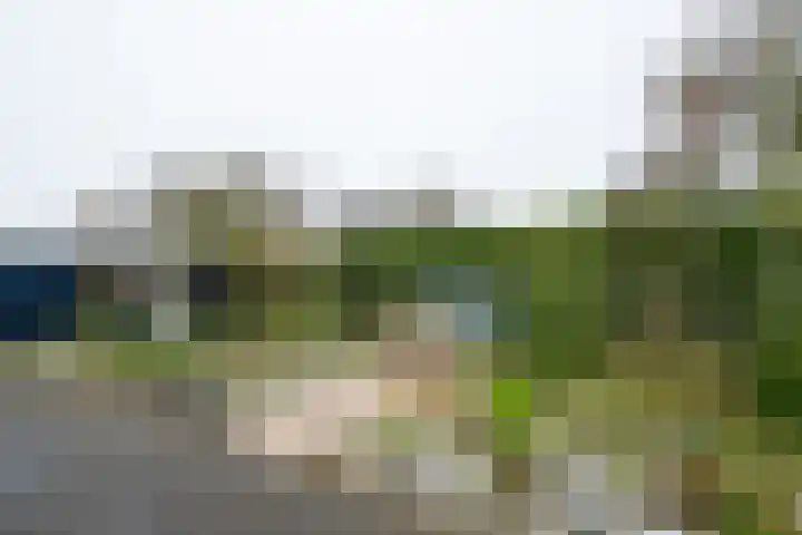 Hagenbosch 14 Dinxperlo thumbnail 45