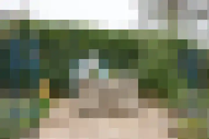 Hagenbosch 14 Dinxperlo thumbnail 46