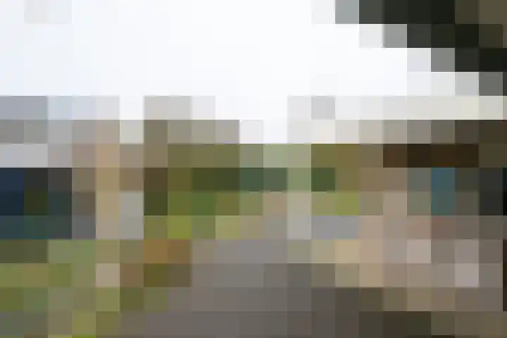 Hagenbosch 14 Dinxperlo thumbnail 47