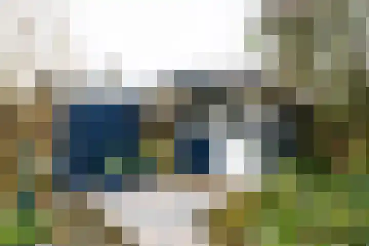 Hagenbosch 14 Dinxperlo thumbnail 48