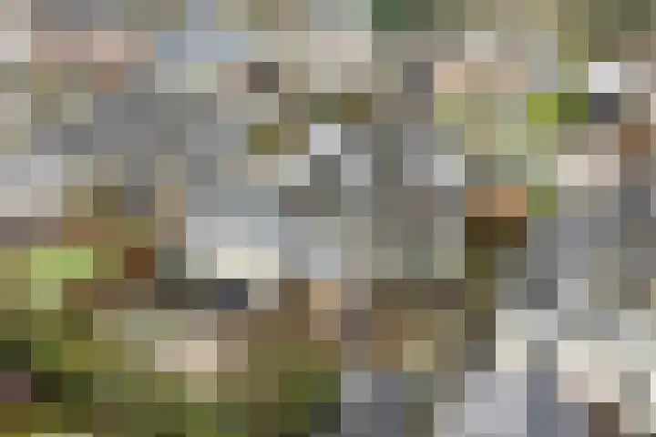 Hagenbosch 14 Dinxperlo thumbnail 5