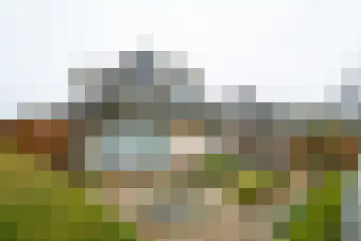Hagenbosch 14 Dinxperlo thumbnail 8